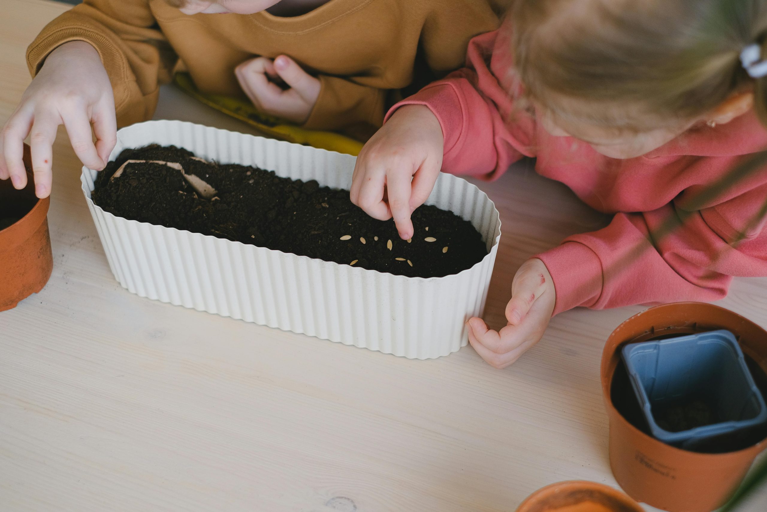 pexels photo 11286030 11286030 Kids engaged in planting seeds indoors, nurturing young gardeners and eco-awareness.