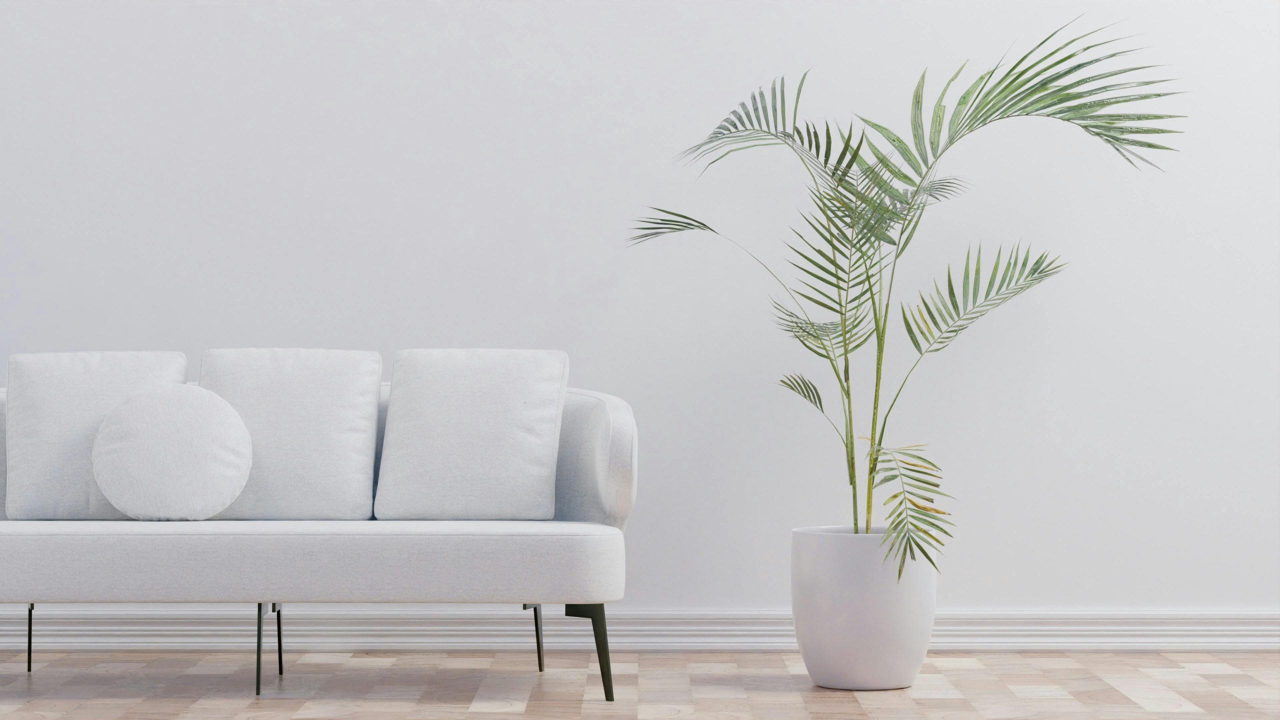 pexels photo 12277414 12277414 Modern minimalist living room with palm plant and white sofa enhancing comfort.