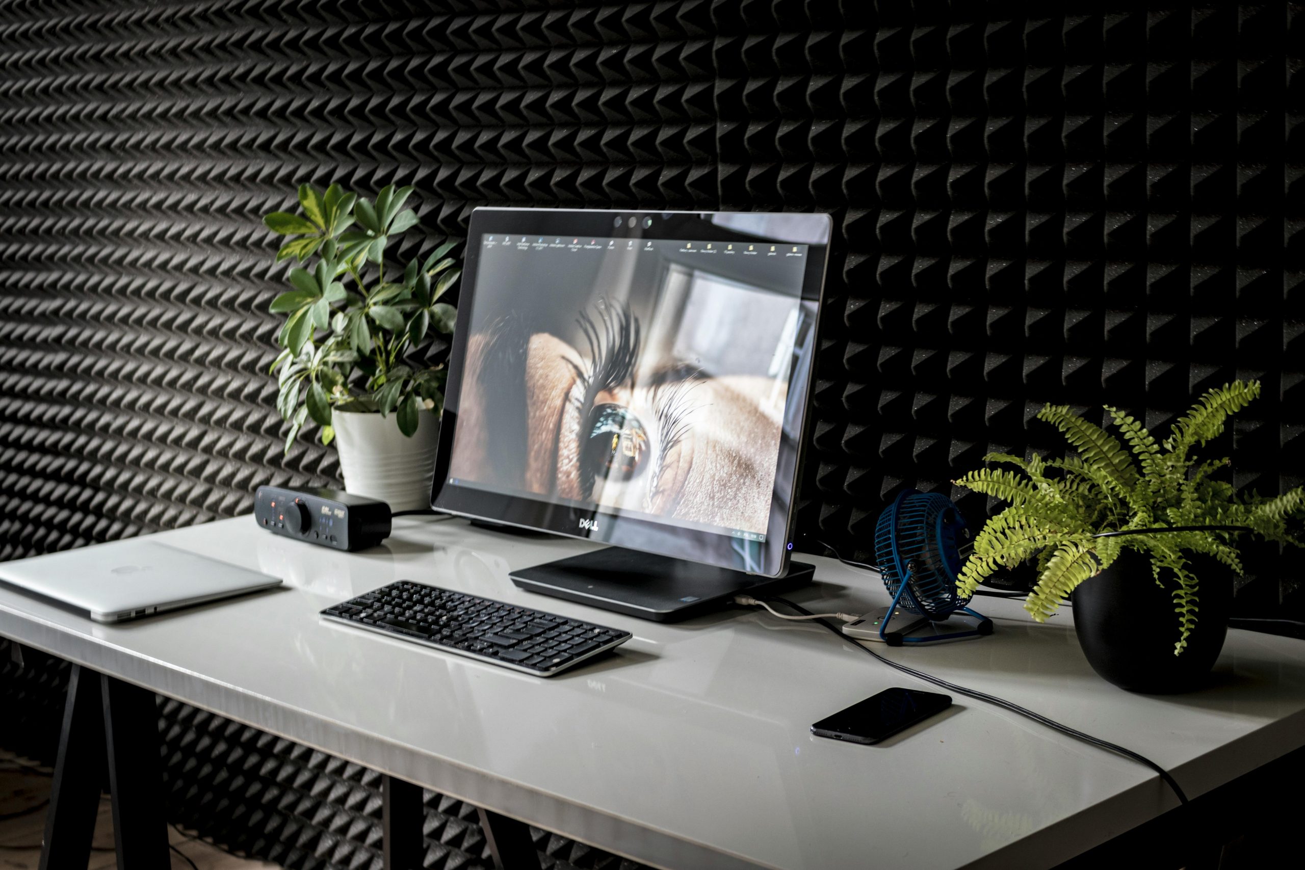 pexels photo 2811648 2811648 A contemporary desk setup with a desktop computer, keyboard, and green plants in a modern office.