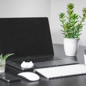 A sleek desk setup featuring a MacBook Pro, keyboard, mouse, smartphone, and potted plants.