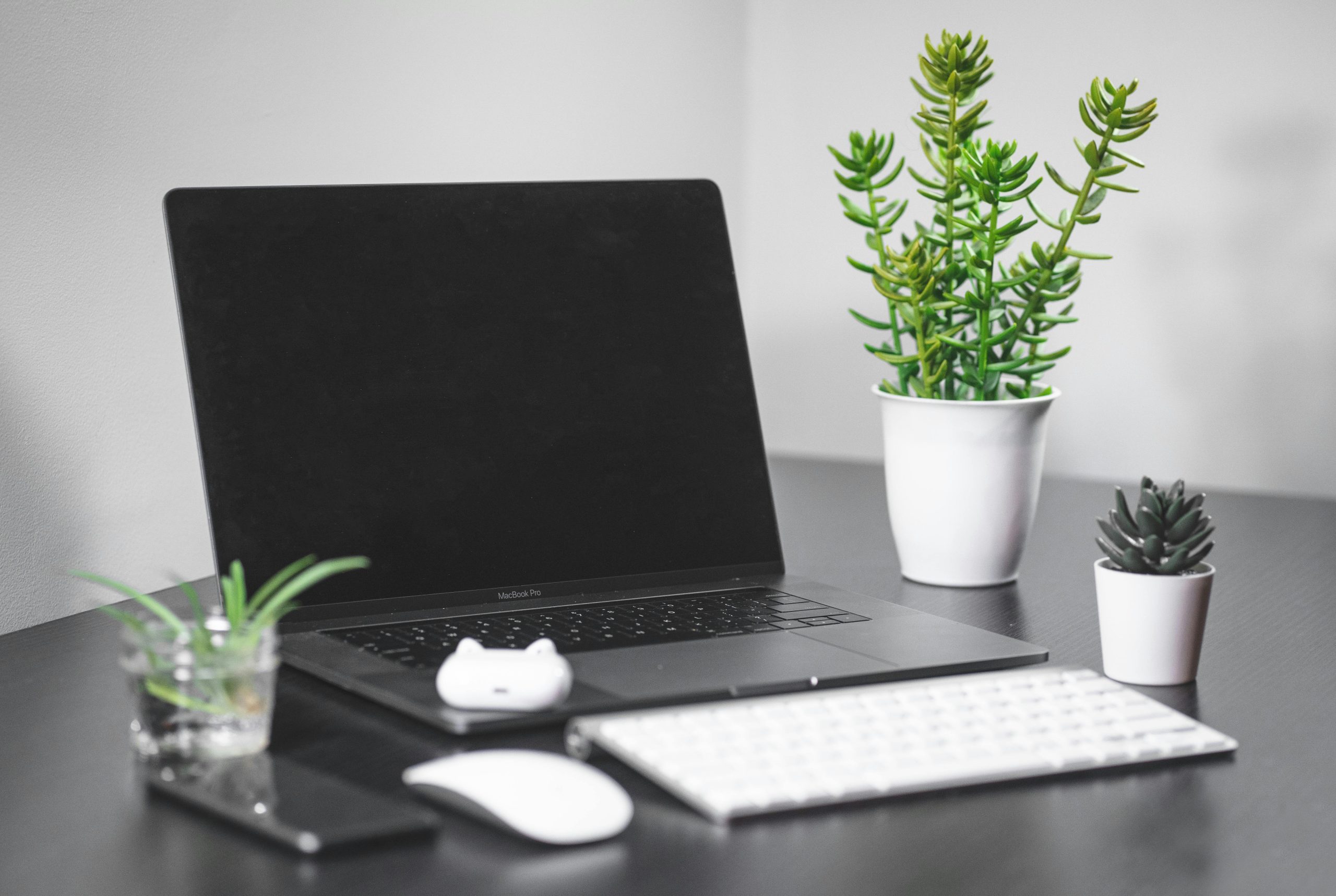 pexels photo 4006182 4006182 1 A sleek desk setup featuring a MacBook Pro, keyboard, mouse, smartphone, and potted plants.