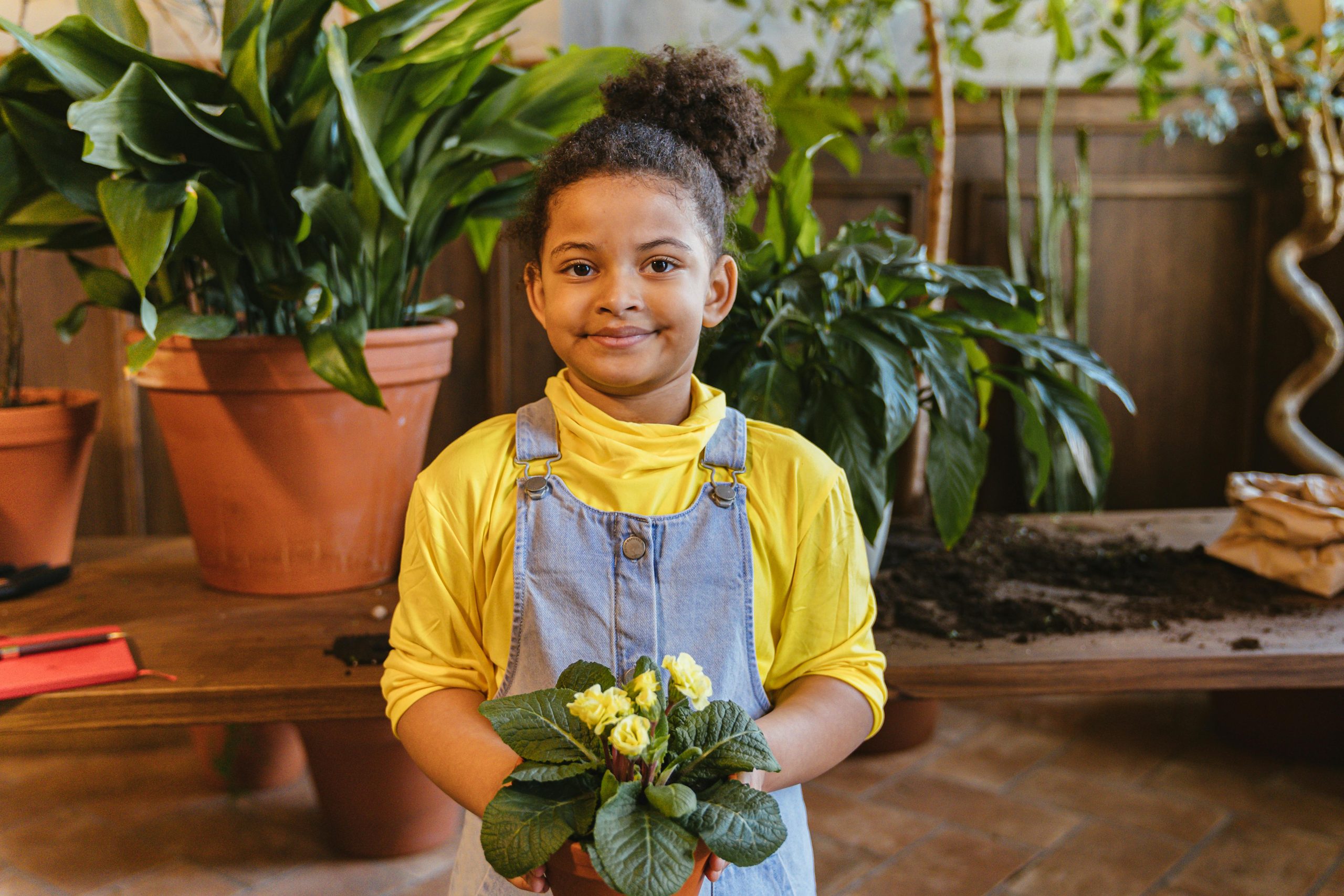 pexels photo 7342646 7342646 Young girl in overalls holding a plant, surrounded by greenery indoors.