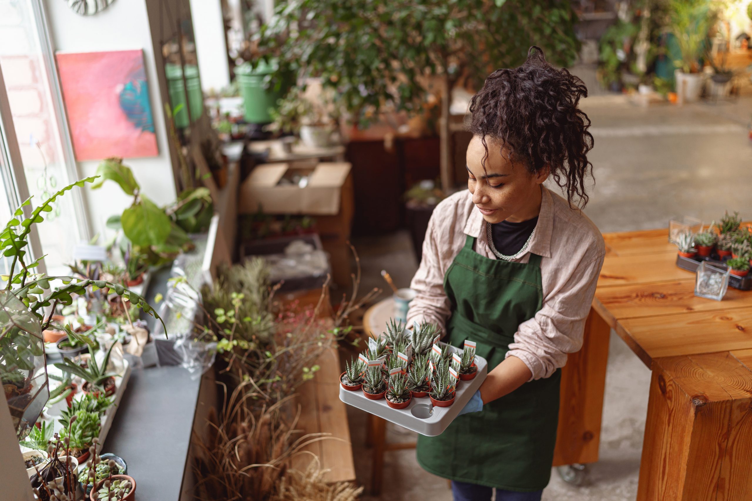 professional woman florist takes care of seedlings in floral studio. blurred background